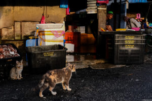 “Kehidupan Awal Pagi di Pasar Bukit Mertajam”